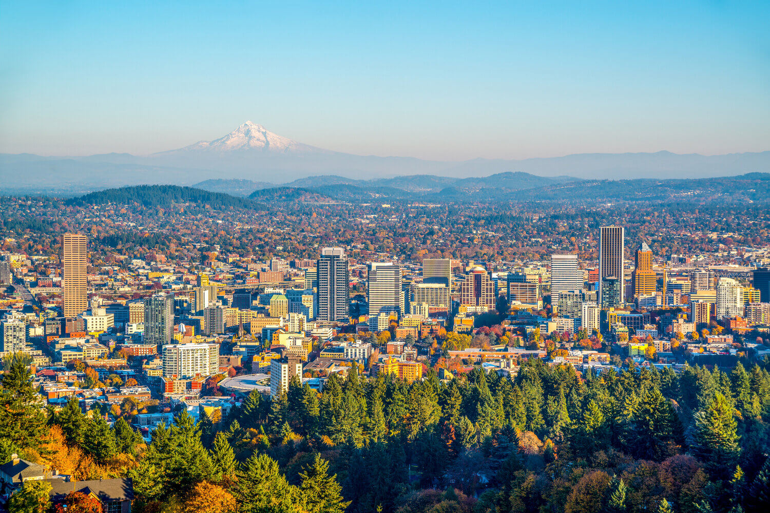 Distant view of Portland, Oregon with city scape and Mount Hood