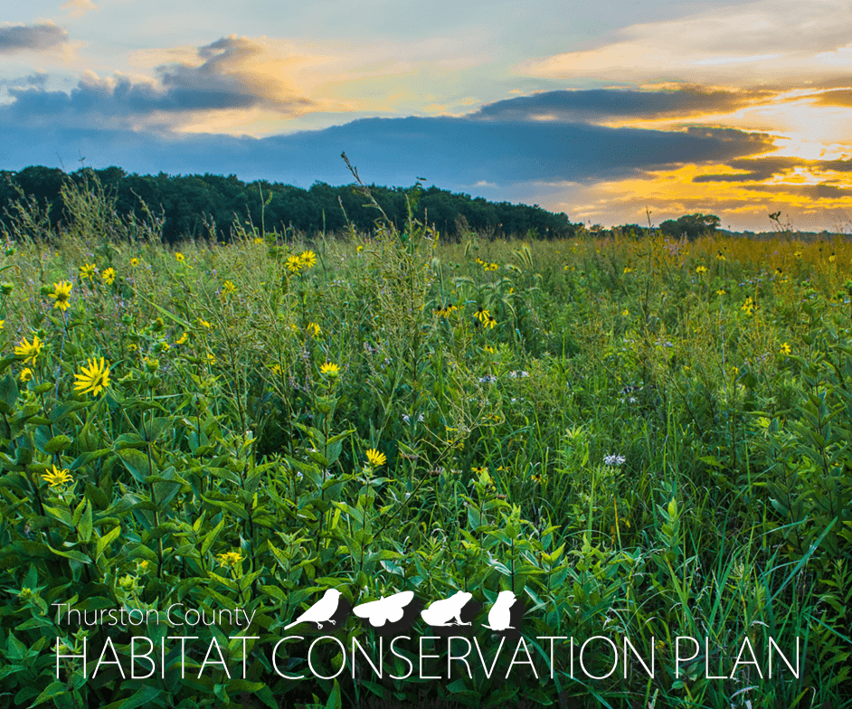 Thurston County Habitat Conservation Plan cover